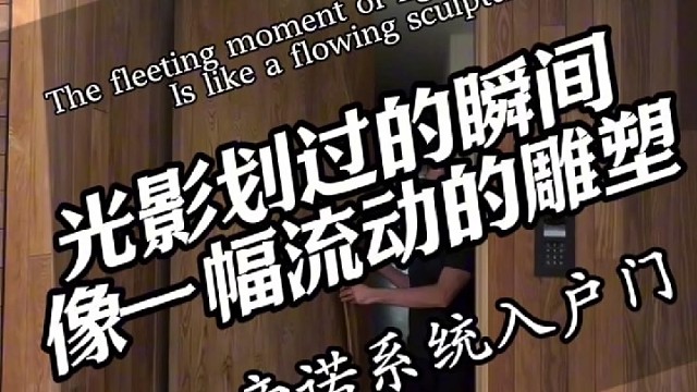 像一幅流动的雕塑#TINNO帝诺系统入户门了