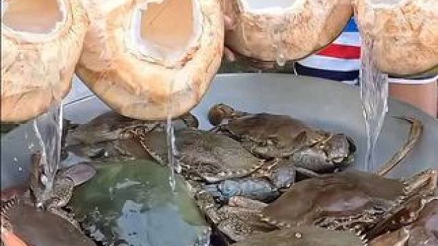 几斤重一只的大青蟹，整锅烹饪吃，沿海的就是豪横任性