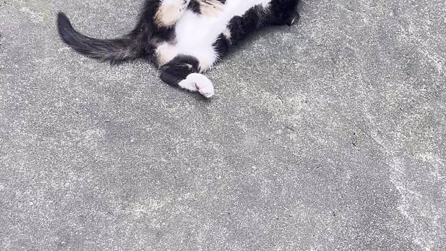得劲