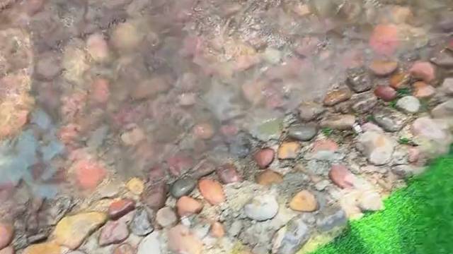 都说这是朕的后花园