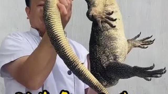二十多斤的科莫多“三嫂”，看越南人怎么做美食，连皮和内脏也吃