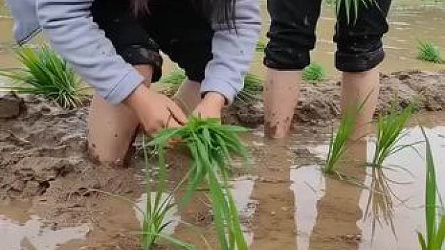 马黄咬了一口都肿了。