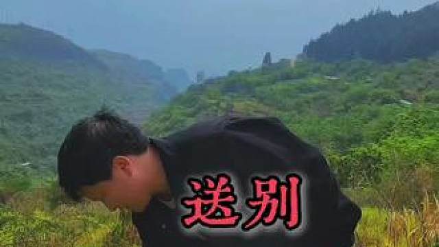 听说这歌火了