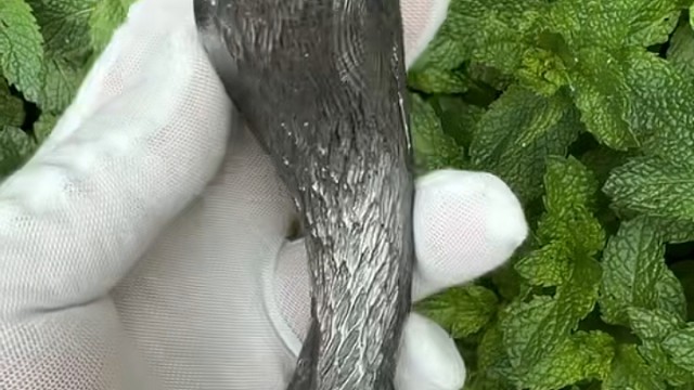 硬汉飞虎