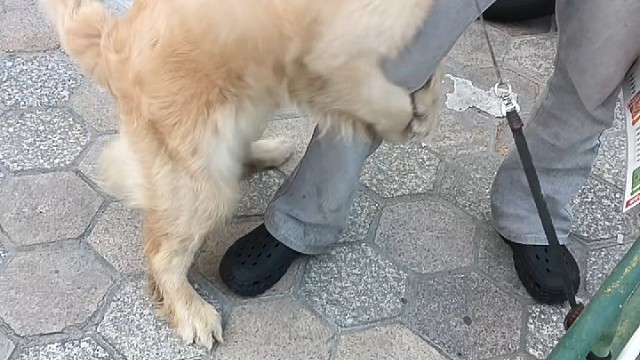 欢乐剧场