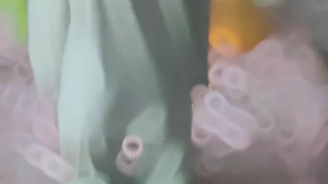 这也太美了吧