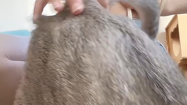 漂亮小妹