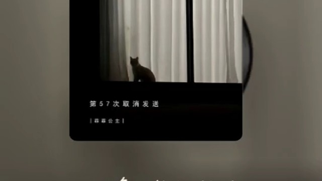 今天很好，我喜欢今天！