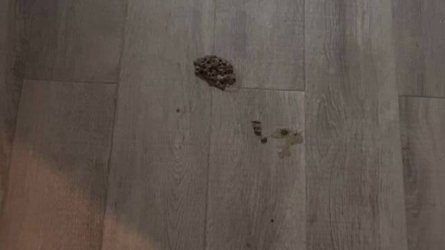 你是怎么做到的
