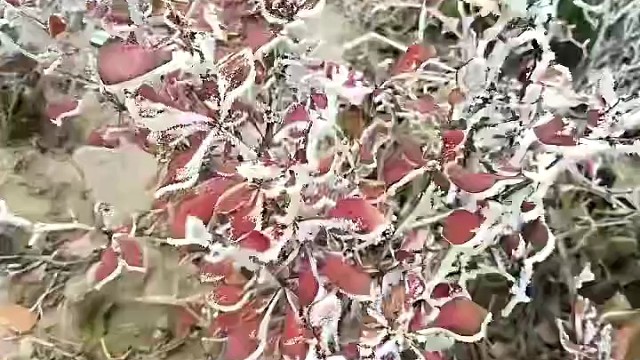 十月秋天晚上，我想念初次和你见面在一起的甜蜜年华里。