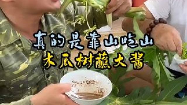 越南人是有多喜欢吃木瓜树？直接蘸大酱，吃得是比熊猫吃竹子还香
