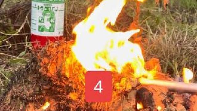 感谢支持，评论区留下你对消灭红火蚁不一样的看法。