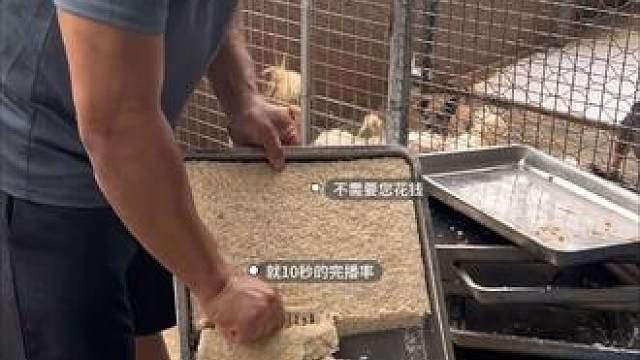 朝朝暮暮喂三餐，默默守護每一隻可愛小生命 听说这个音乐很火