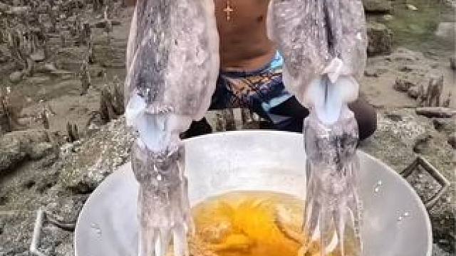 沿海的生活就是好，刚抓的墨鱼直接下油锅烹饪吃，吃得真香