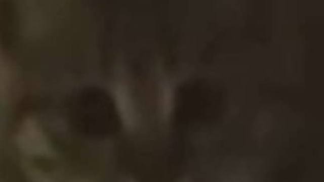 配上这个音乐 真的笑死我了