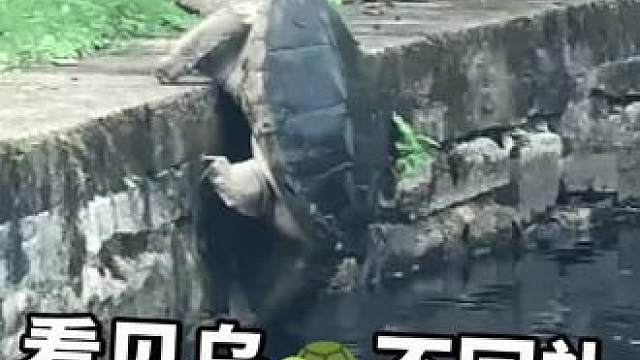 (2026-05-06)发布的视频