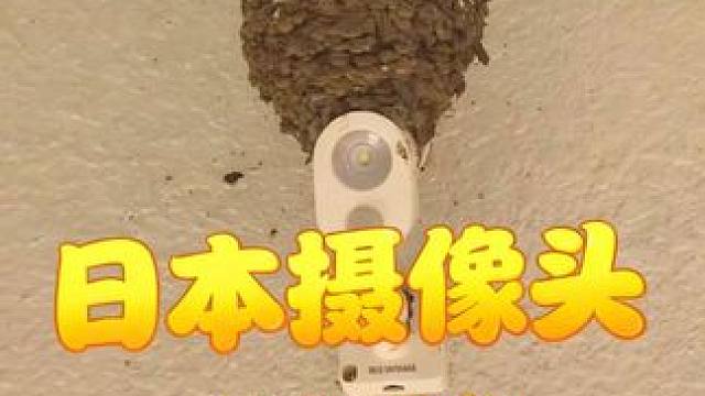 住在日本摄像头上