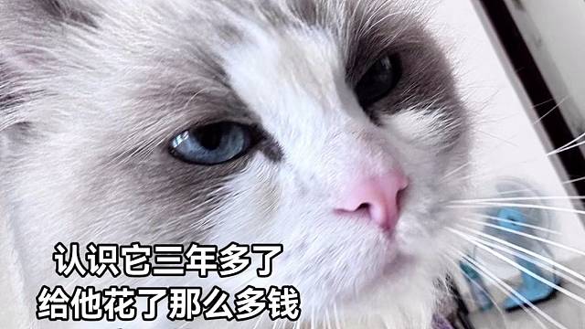老母亲寒心