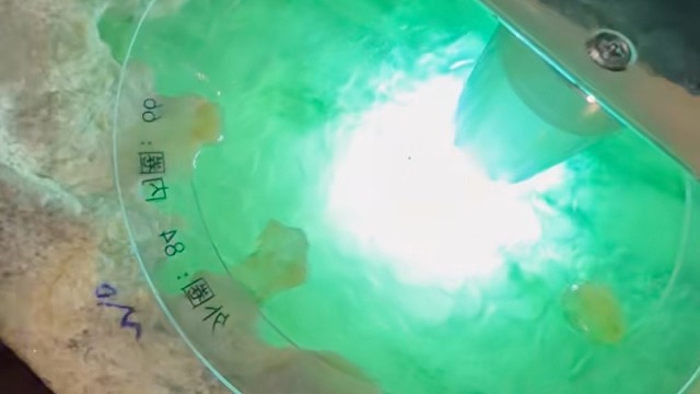 手镯位已有