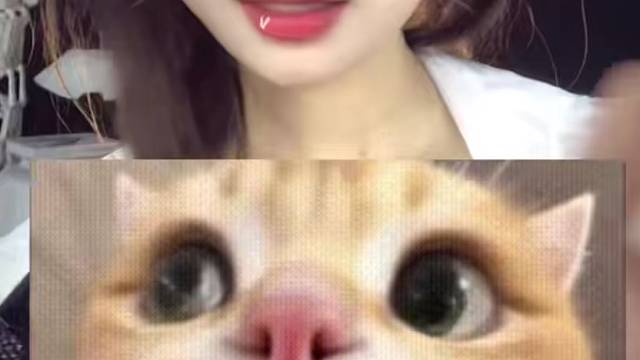 这个号播hx锦宝