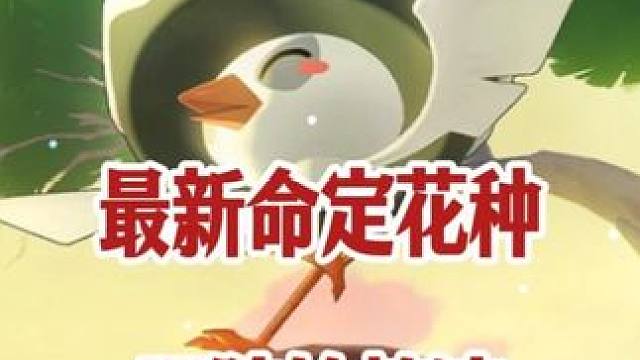 5.8最新命定花种无脑轮椅流速通方法！ #