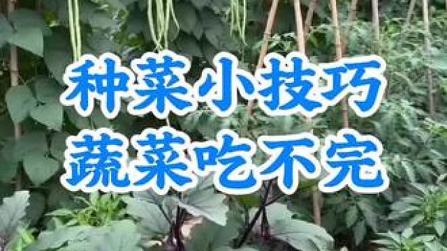 种菜小技巧