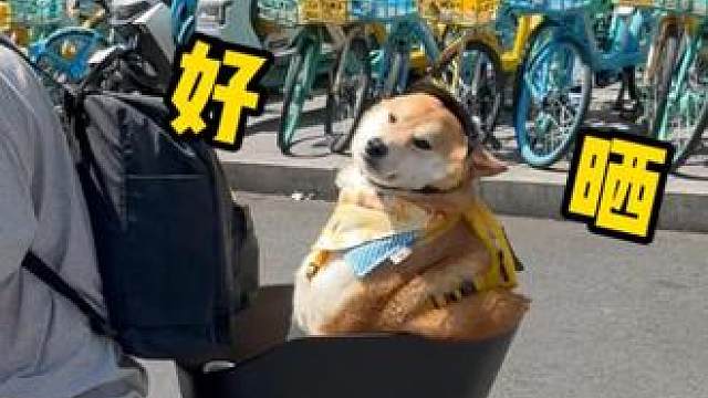 3岁龄宝宝陪取快递