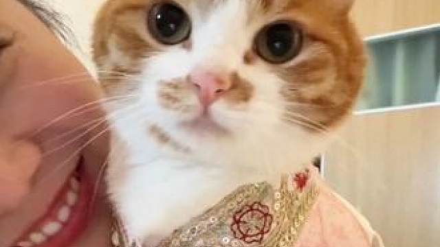嘻嘻咪也想看看姨姨们穿傣服的样子