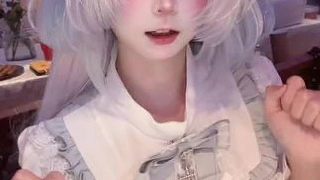 我是一只白色的小猫