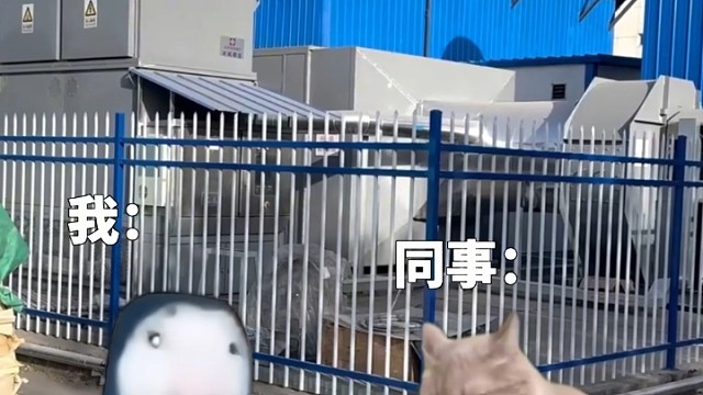 搞点动静