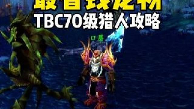 TBC猎人最省钱宠物
