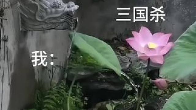 你们每个月生活费够吗？