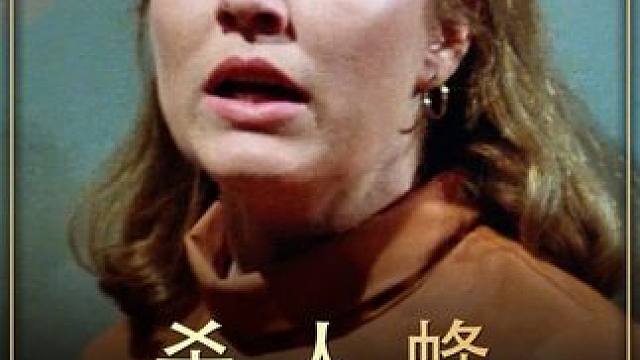 熊孩子放出杀人蜂