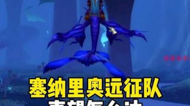 TBC物理职业帽子附魔 塞纳里奥远征队声望怎么冲