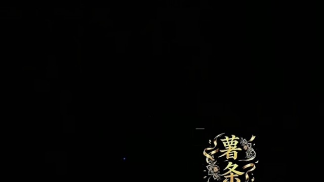录屏视频