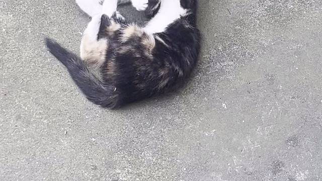 继续