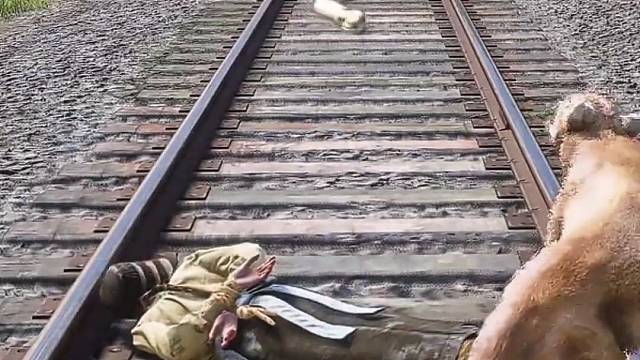 美洲狮被蛇兄咬一下就没有了