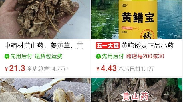 收才几块钱一斤网上卖的好贵