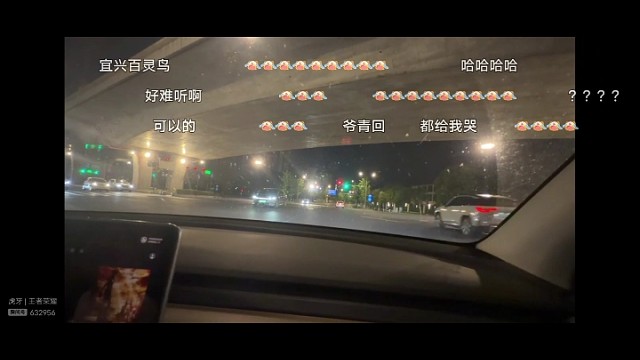 耀扬唱花海