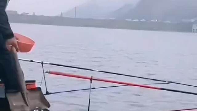 没打过鱼窝？