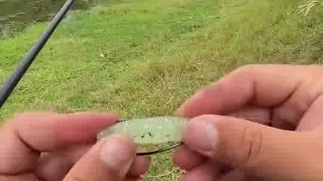 这一下让我有点突然