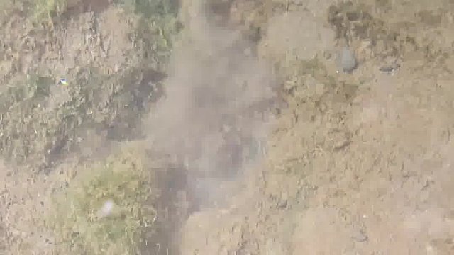 沉浸式钓老虎鱼来啦
