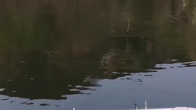 老沐钓鱼真牛皮！