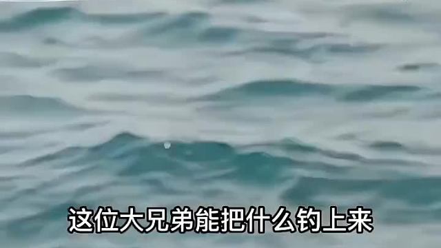 用普通的鱼竿能钓起来最大的鱼有多大？我说是鲸鱼你信吗