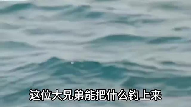 用普通的鱼竿能钓起来最大的鱼有多大？我说是鲸鱼你信吗_1