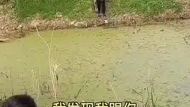君子动口不动手