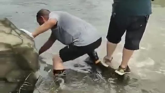 大哥这辈子钓到最大的鱼了