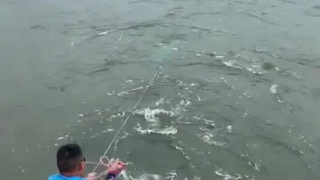 神秘出水口来一网打尽