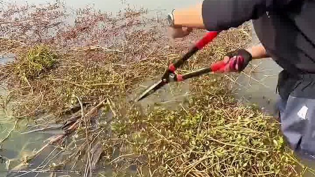 看这个钓鱼老师傅草洞开的怎么样？#钓鱼的乐趣只有钓鱼人懂 #钓鱼人就是这