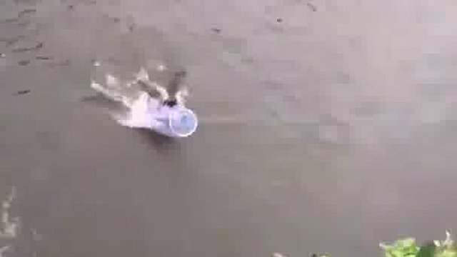 小哥这一网下去，算是为民除害了
